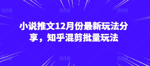 小说推文12月份最新玩法分享，知乎混剪批量玩法_大叔资源库-大叔资源库-资源-项目-副业-兼职-创业-大叔的库-大叔的库