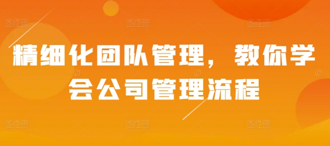 精细化团队管理，教你学会公司管理流程_大叔资源库-大叔资源库-资源-项目-副业-兼职-创业-大叔的库-大叔的库