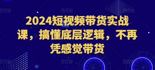 2024短视频带货实战课，搞懂底层逻辑，不再凭感觉带货_大叔资源库-大叔资源库-资源-项目-副业-兼职-创业-大叔的库-大叔的库