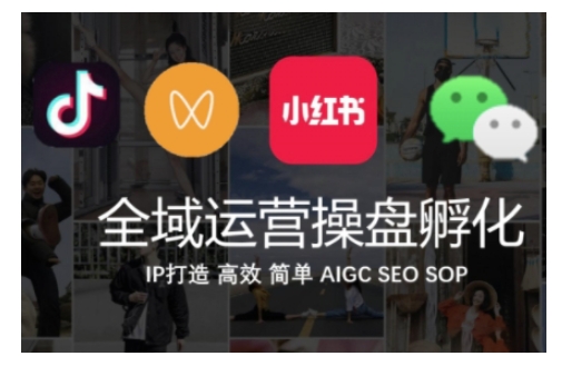 全域运营操盘(抖音+私域+小红书)，IP打造高效简单_大叔资源库-大叔资源库-资源-项目-副业-兼职-创业-大叔的库-大叔的库