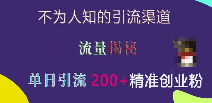 不为人知的引流渠道，流量揭秘，实测单日引流200+精准创业粉【揭秘】_大叔资源库-大叔资源库-资源-项目-副业-兼职-创业-大叔的库-大叔的库