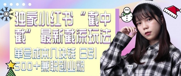 最新小红书截流玩法 独家截中截 单号成本几块钱 日引500+CY粉JZ粉_大叔资源库-大叔资源库-资源-项目-副业-兼职-创业-大叔的库-大叔的库