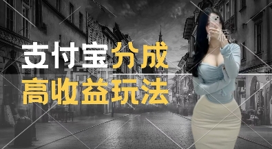 支付宝分成计划新玩法，利用交通事故视频，赚收益，轻松月入过W，操作简单【揭秘】_大叔资源库-大叔资源库-资源-项目-副业-兼职-创业-大叔的库-大叔的库
