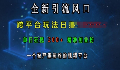 全新引流风口，跨平台玩法日入上k，单日狂揽200+精准创业粉，一个被严重忽略的视频平台_大叔资源库-大叔资源库-资源-项目-副业-兼职-创业-大叔的库-大叔的库
