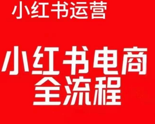 红薯电商实操课，小红书电商全流程_大叔资源库-大叔资源库-资源-项目-副业-兼职-创业-大叔的库-大叔的库
