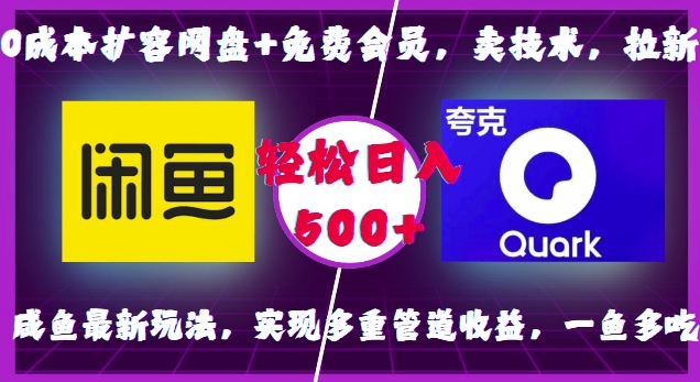 0成本扩容网盘+免费会员，卖技术，拉新，咸鱼最新玩法，实现多重管道收益，一鱼多吃，轻松日入500+_大叔资源库-大叔资源库-资源-项目-副业-兼职-创业-大叔的库-大叔的库