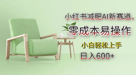 小红书减肥AI新赛道，零成本易操作，日入多张，小白轻松上手【揭秘】_大叔资源库-大叔资源库-资源-项目-副业-兼职-创业-大叔的库-大叔的库