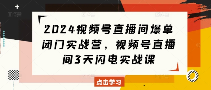 2024视频号直播间爆单闭门实战营，视频号直播间3天闪电实战课_大叔资源库-大叔资源库-资源-项目-副业-兼职-创业-大叔的库-大叔的库