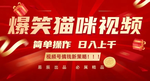 爆笑猫咪视频：简单操作，日入过K，视频号搞钱新策略【揭秘】_大叔资源库-大叔资源库-资源-项目-副业-兼职-创业-大叔的库-大叔的库