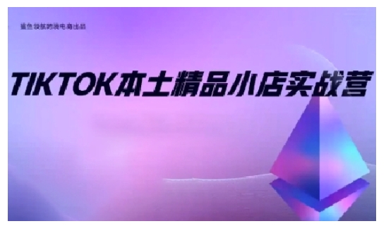 TikTok本土精品小店出海实战营，从入门到高阶，不止0-1!_大叔资源库-大叔资源库-资源-项目-副业-兼职-创业-大叔的库-大叔的库