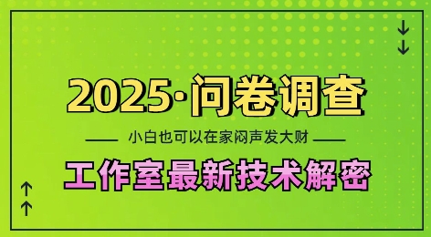 2025问卷调查最新工作室技术解密：一个人在家也可以闷声发大财，小白一天2张，可矩阵放大【揭秘】_大叔资源库-大叔资源库-资源-项目-副业-兼职-创业-大叔的库-大叔的库