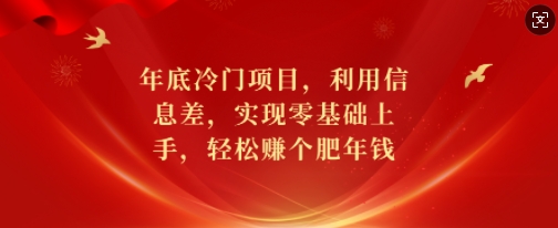 年底冷门项目，利用信息差，实现零基础上手，轻松赚个肥年钱【揭秘】_大叔资源库-大叔资源库-资源-项目-副业-兼职-创业-大叔的库-大叔的库