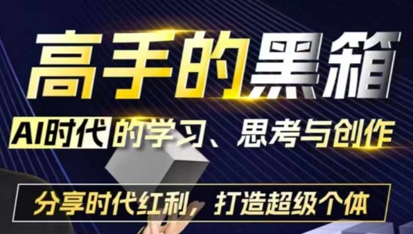 高手的黑箱：AI时代学习、思考与创作-分红时代红利，打造超级个体_大叔资源库-大叔资源库-资源-项目-副业-兼职-创业-大叔的库-大叔的库