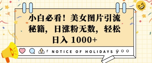 小白必看，美女图片引流秘籍，日涨粉无数，轻松日入几张【揭秘】_大叔资源库-大叔资源库-资源-项目-副业-兼职-创业-大叔的库-大叔的库