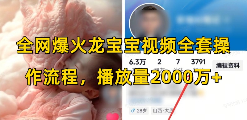 全网爆火龙宝宝视频全套操作流程，播放量2000万+_大叔资源库-大叔资源库-资源-项目-副业-兼职-创业-大叔的库-大叔的库