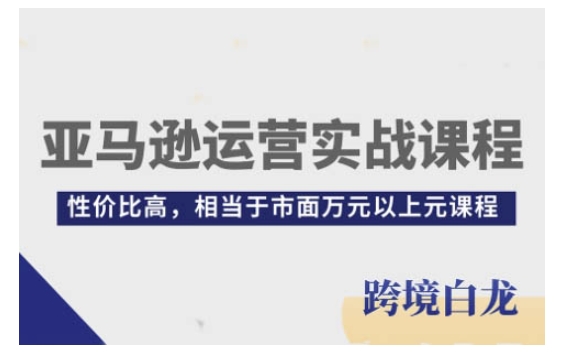 亚马逊运营实战课程，亚马逊从入门到精通，性价比高，相当于市面万元以上元课程_大叔资源库-大叔资源库-资源-项目-副业-兼职-创业-大叔的库-大叔的库