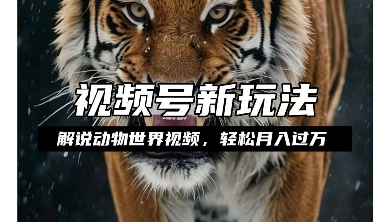 利用动物世界解说视频，赚分成计划收益，轻松月入过W，操作简单【揭秘】_大叔资源库-大叔资源库-资源-项目-副业-兼职-创业-大叔的库-大叔的库