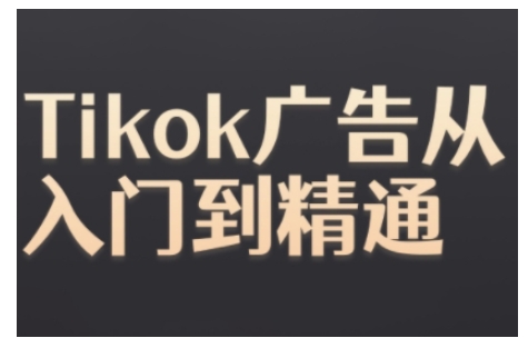 Tiktok Ads实操教程，Tiktok广告从入门到精通_大叔资源库-大叔资源库-资源-项目-副业-兼职-创业-大叔的库-大叔的库