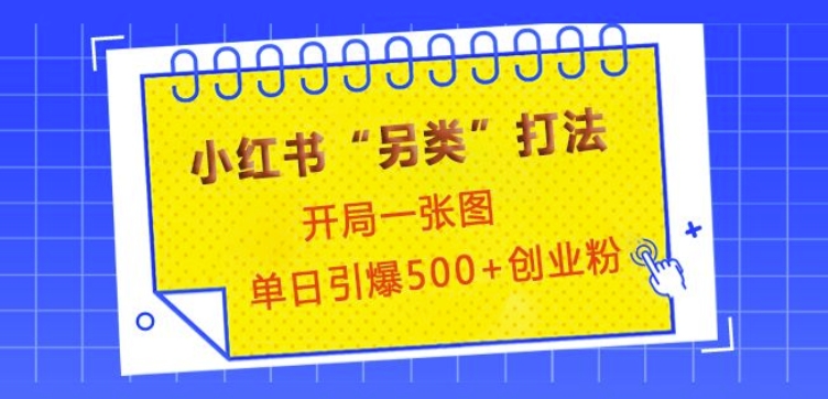 小红书“另类”打法，开局一张图，单日引爆500+精准创业粉【揭秘】_大叔资源库-大叔资源库-资源-项目-副业-兼职-创业-大叔的库-大叔的库