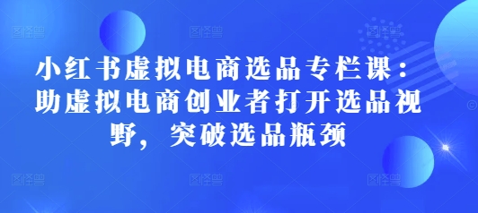 小红书虚拟电商选品专栏课：助虚拟电商创业者打开选品视野，突破选品瓶颈_大叔资源库-大叔资源库-资源-项目-副业-兼职-创业-大叔的库-大叔的库