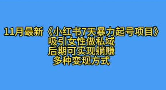 K总部落11月最新小红书7天暴力起号项目，吸引女性做私域【揭秘】_大叔资源库-大叔资源库-资源-项目-副业-兼职-创业-大叔的库-大叔的库