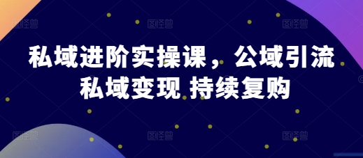 私域进阶实操课，公域引流 私域变现 持续复购_大叔资源库-大叔资源库-资源-项目-副业-兼职-创业-大叔的库-大叔的库