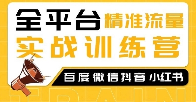 全平台精准流量实战训练营，百度微信抖音小红书SEO引流教程——大叔资源库创业项目网-大叔资源库-资源-项目-副业-兼职-创业-大叔的库-大叔的库