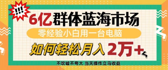 6亿群体蓝海市场，零经验小白用一台电脑，如何轻松月入过w【揭秘】——大叔资源库创业项目网-大叔资源库-资源-项目-副业-兼职-创业-大叔的库-大叔的库