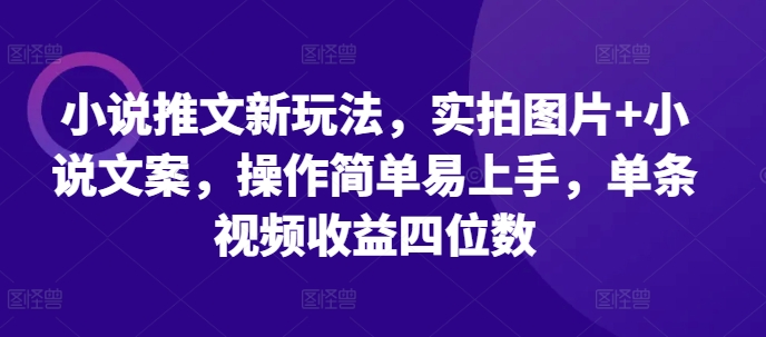 小说推文新玩法，实拍图片+小说文案，操作简单易上手，单条视频收益四位数_大叔资源库-大叔资源库-资源-项目-副业-兼职-创业-大叔的库-大叔的库