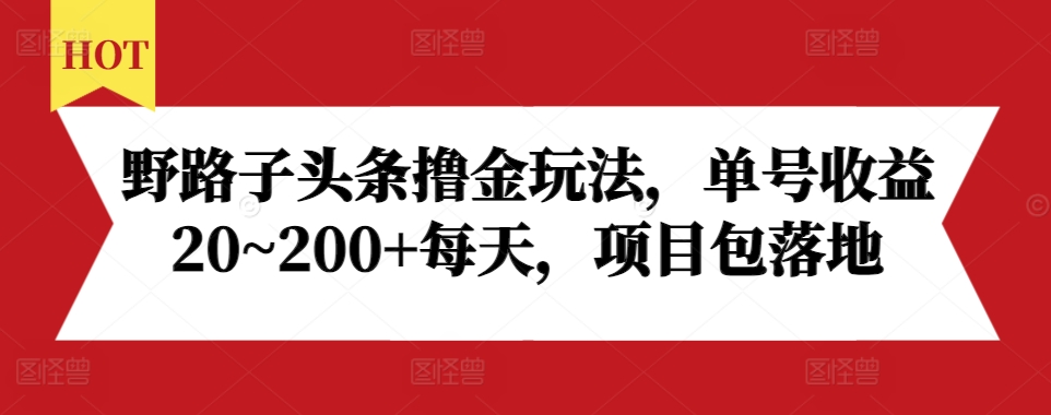 野路子头条撸金玩法，单号收益20~200+每天，项目包落地_大叔资源库-大叔资源库-资源-项目-副业-兼职-创业-大叔的库-大叔的库
