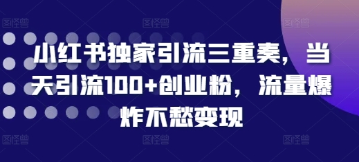 小红书独家引流三重奏，当天引流100+创业粉，流量爆炸不愁变现【揭秘】_大叔资源库-大叔资源库-资源-项目-副业-兼职-创业-大叔的库-大叔的库