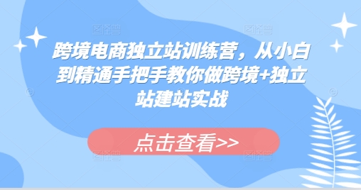 跨境电商独立站训练营，从小白到精通手把手教你做跨境+独立站建站实战_大叔资源库-大叔资源库-资源-项目-副业-兼职-创业-大叔的库-大叔的库