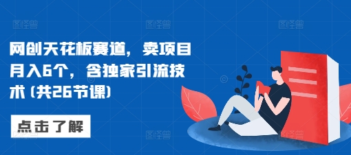网创天花板赛道，卖项目月入6个，含独家引流技术(共26节课)_大叔资源库-大叔资源库-资源-项目-副业-兼职-创业-大叔的库-大叔的库