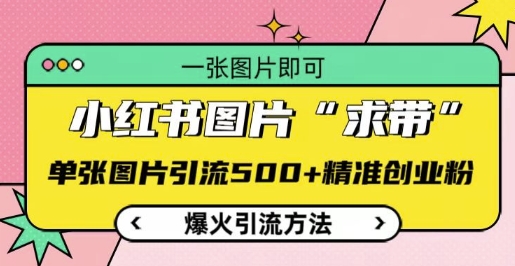 小红书图片‘求带’爆火引流法，单张图片引流500+精准创业粉【揭秘】_大叔资源库-大叔资源库-资源-项目-副业-兼职-创业-大叔的库-大叔的库