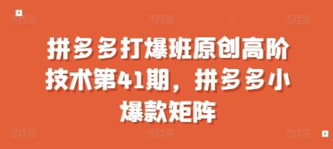 拼多多打爆班原创高阶技术第41期，拼多多小爆款矩阵_大叔资源库-大叔资源库-资源-项目-副业-兼职-创业-大叔的库-大叔的库