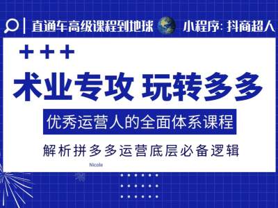 术业专攻玩转多多，优秀运营人的全面体系课程，解析拼多多运营底层必备逻辑_大叔资源库-大叔资源库-资源-项目-副业-兼职-创业-大叔的库-大叔的库