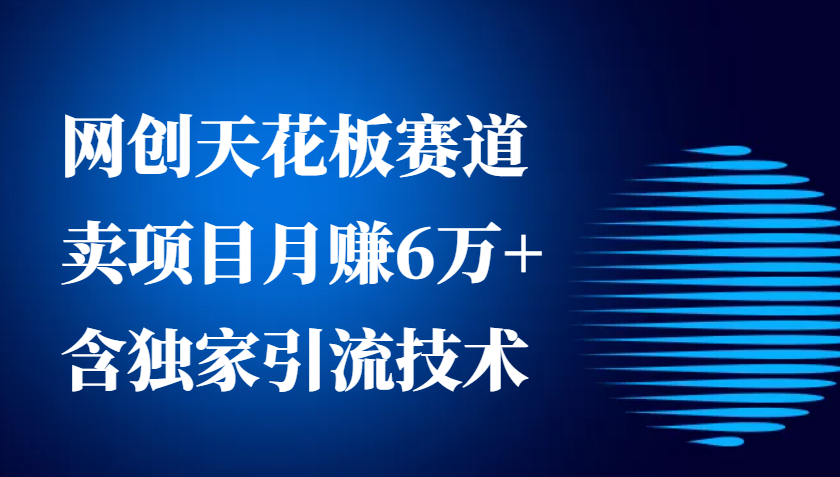 网创天花板赛道，卖项目月赚6万+，含独家引流技术（共26节课）_大叔资源库-大叔资源库-资源-项目-副业-兼职-创业-大叔的库-大叔的库