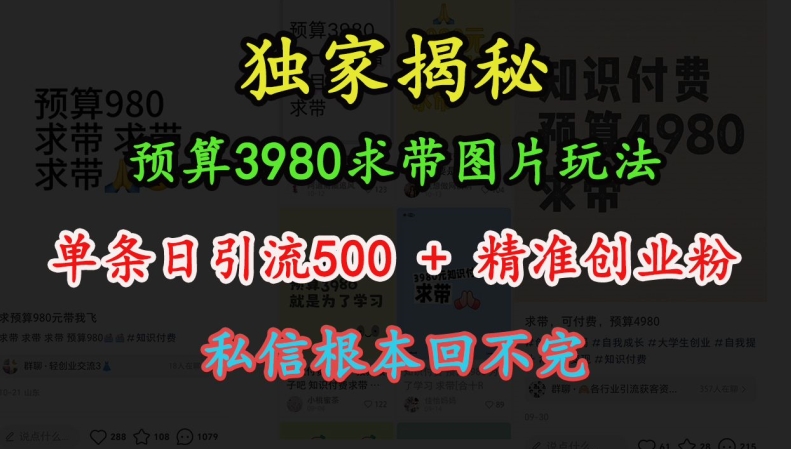 预算3980求带 图片玩法，单条日引流500+精准创业粉，私信根本回不完_大叔资源库-大叔资源库-资源-项目-副业-兼职-创业-大叔的库-大叔的库
