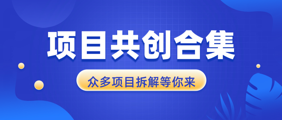 （13778期）项目共创合集，从0-1全过程拆解，让你迅速找到适合自已的项目_大叔资源库创业项目网-大叔资源库-资源-项目-副业-兼职-创业-大叔的库-大叔的库