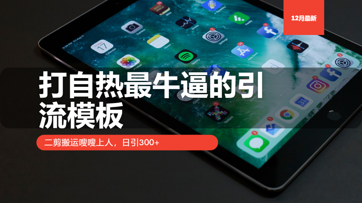 （13654期）打自热最牛逼的引流模板，二剪搬运嗖嗖上人，日引300+_大叔资源库创业项目网-大叔资源库-资源-项目-副业-兼职-创业-大叔的库-大叔的库