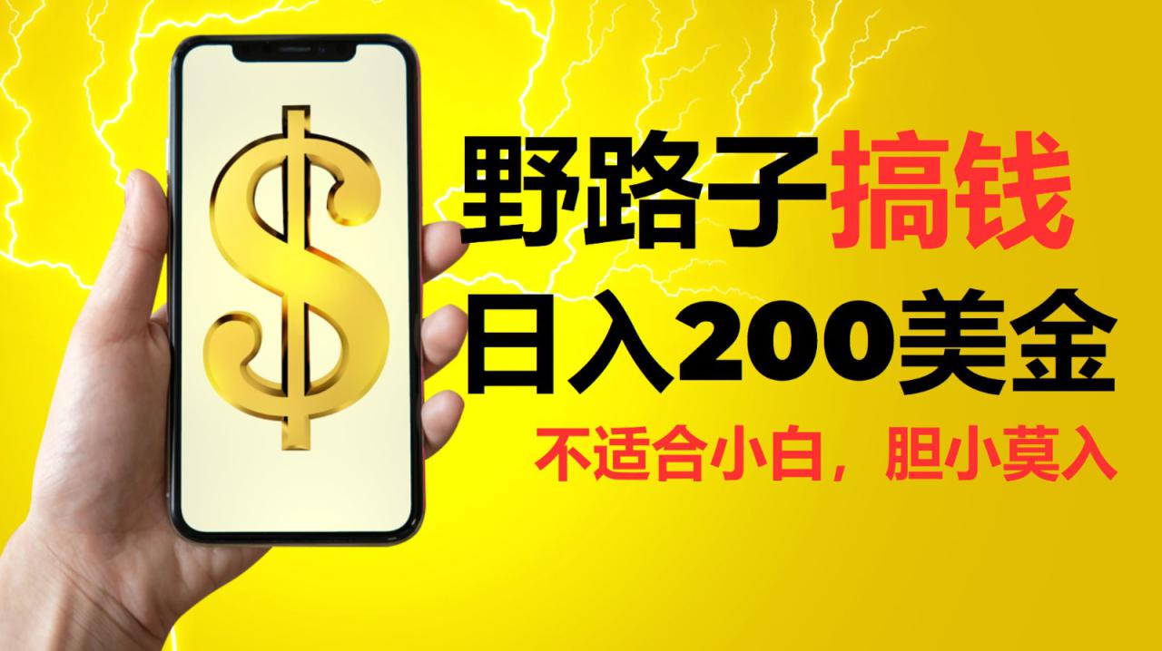 挂机野路子搞钱，日入200美金，路子很野，小白莫入_大叔资源库-大叔资源库-资源-项目-副业-兼职-创业-大叔的库-大叔的库