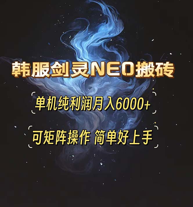 （13435期）韩服剑灵NEO搬砖攻略，单机纯利润月入6000+ 可矩阵操作，简单好上手。_大叔资源库创业项目网-大叔资源库-资源-项目-副业-兼职-创业-大叔的库-大叔的库