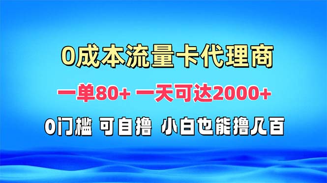 （13391期）免费流量卡代理一单80+ 一天可达2000+_大叔资源库创业项目网-大叔资源库-资源-项目-副业-兼职-创业-大叔的库-大叔的库