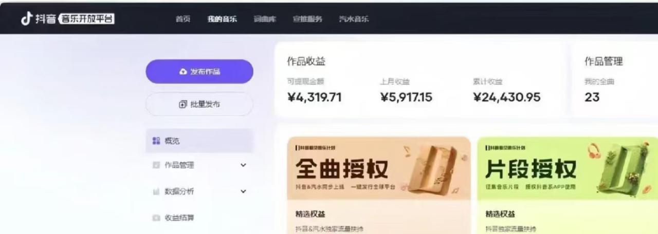 （13753期）抖音汽水音乐人计划无脑月入5000+操作简单实操已落地_大叔资源库创业项目网-大叔资源库-资源-项目-副业-兼职-创业-大叔的库-大叔的库