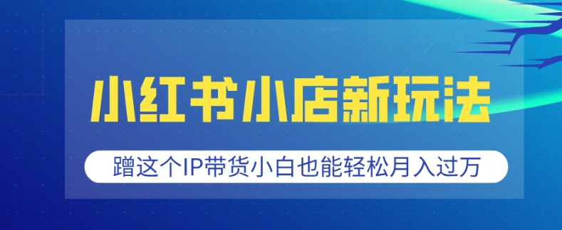小红书小店新玩法，蹭这个IP带货，小白也能轻松月入过W【揭秘】——大叔资源库创业项目网-大叔资源库-资源-项目-副业-兼职-创业-大叔的库-大叔的库