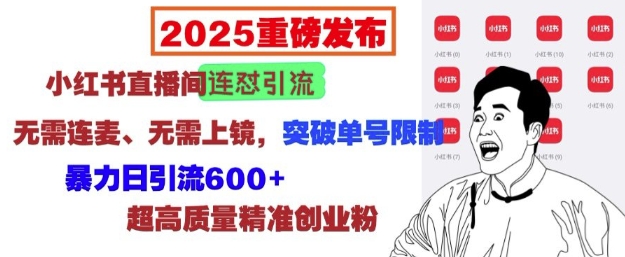 2025重磅发布：小红书直播间连怼引流，无需连麦、无需上镜，突破单号限制，暴力日引流600+——大叔资源库创业项目网-大叔资源库-资源-项目-副业-兼职-创业-大叔的库-大叔的库
