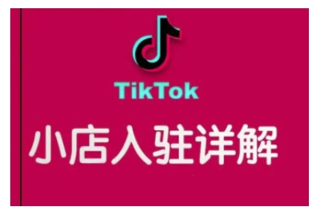 TikTok跨境小店运营全攻略，帮助你独立运营TK跨境小店的能力，实现销量增长——大叔资源库创业项目网-大叔资源库-资源-项目-副业-兼职-创业-大叔的库-大叔的库