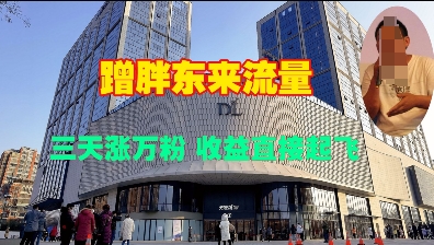 蹭胖东来流量，三天涨万粉，收益直接起飞——大叔资源库创业项目网-大叔资源库-资源-项目-副业-兼职-创业-大叔的库-大叔的库