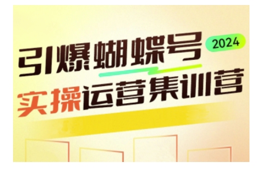 引爆蝴蝶号实操运营，助力你深度掌握蝴蝶号运营，实现高效实操，开启流量变现之路——大叔资源库创业项目网-大叔资源库-资源-项目-副业-兼职-创业-大叔的库-大叔的库
