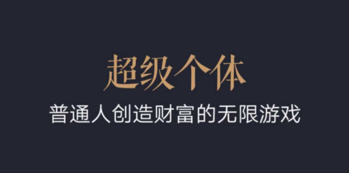 超级个体：2024-2025翻盘指南，普通人创造财富的无限游戏——大叔资源库创业项目网-大叔资源库-资源-项目-副业-兼职-创业-大叔的库-大叔的库